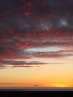 IMG_3206 (Copier).JPG